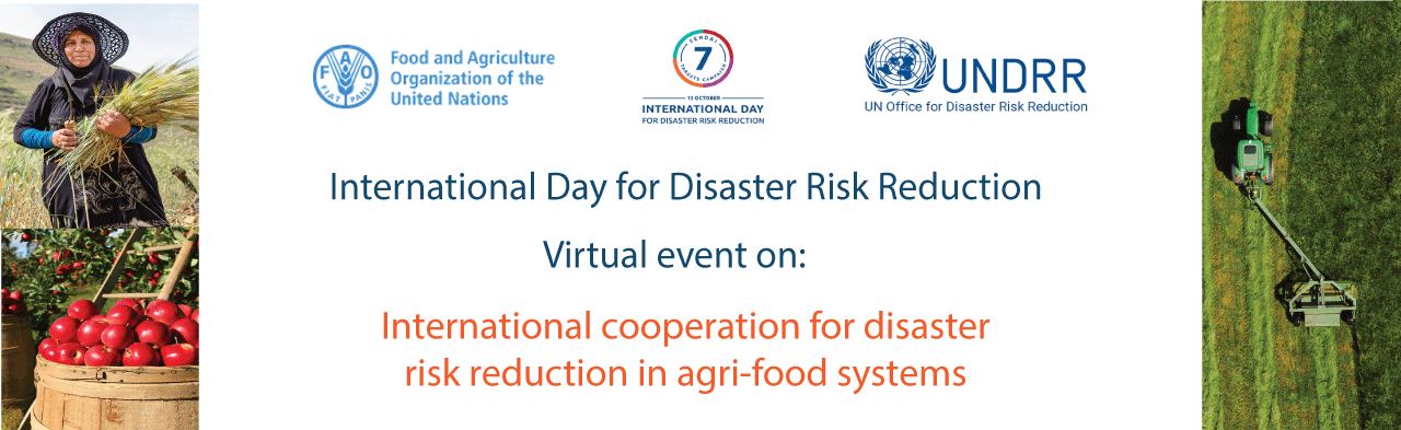 International Day for Disaster Risk Reduction: FAO-UNDRR event on “International cooperation for disaster risk reduction in agri-food systems"